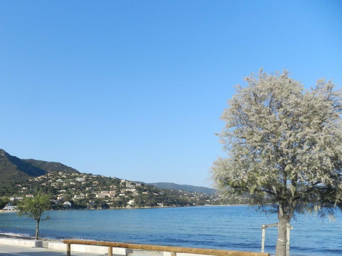 Appartement Les Pieds Dans L'Eau ! Le Lavandou Luaran gambar
